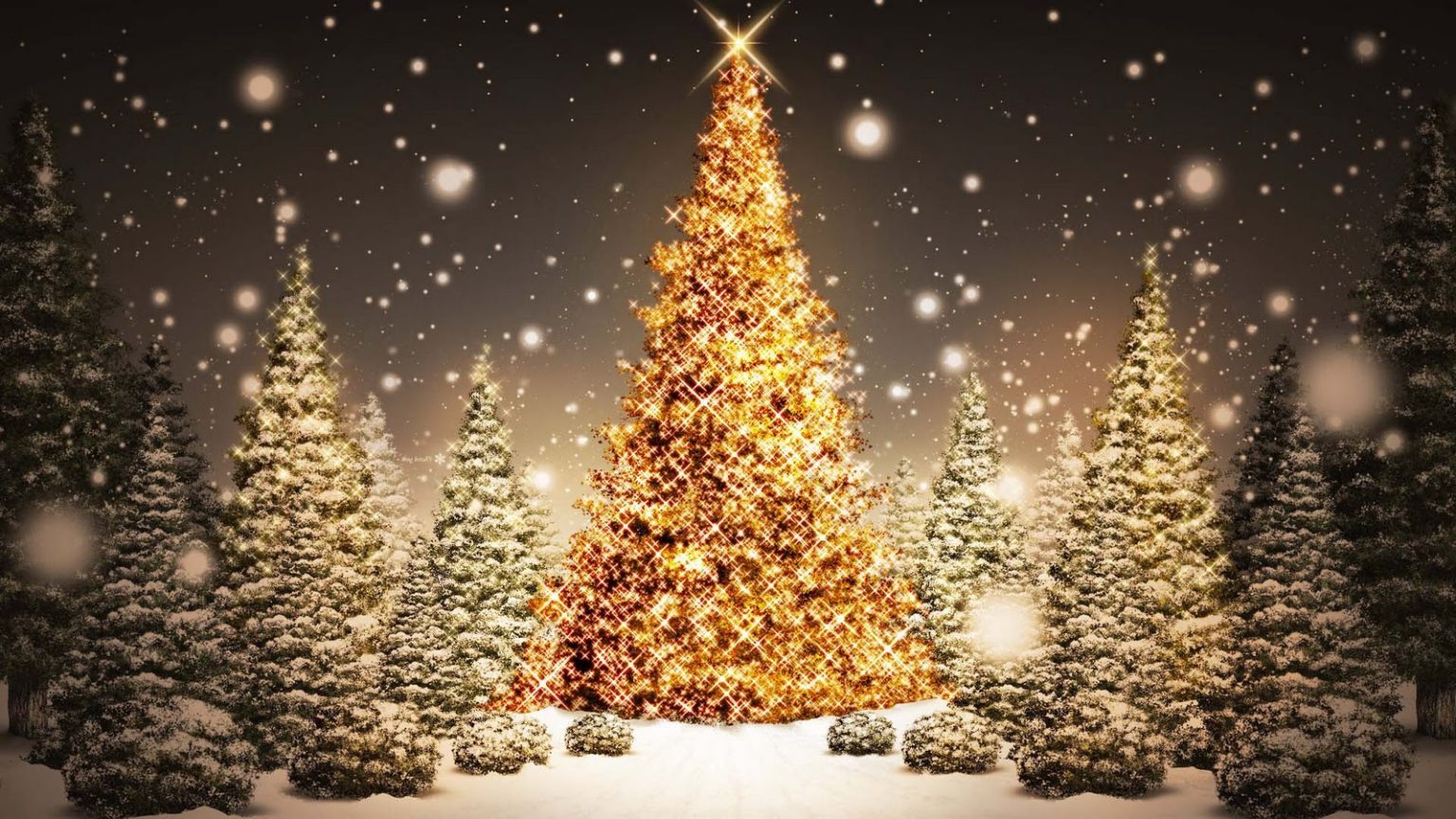 kerst achtergrond GrandCafé Brasserie Restaurant De Verdraagzaamheid